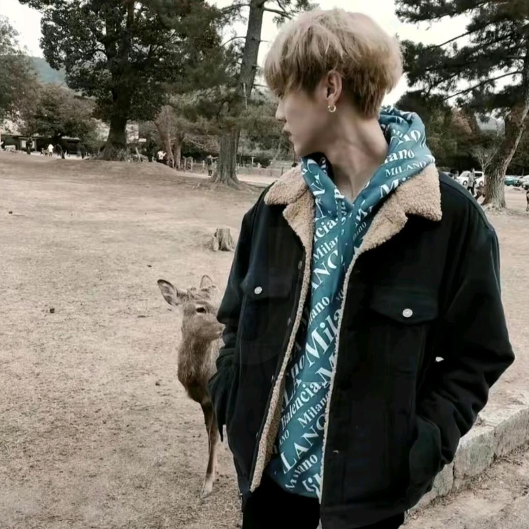 多次婉拒朴彩英