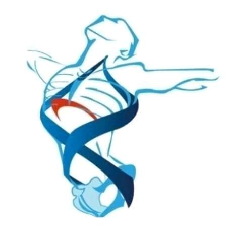 隔壁的人体力学师