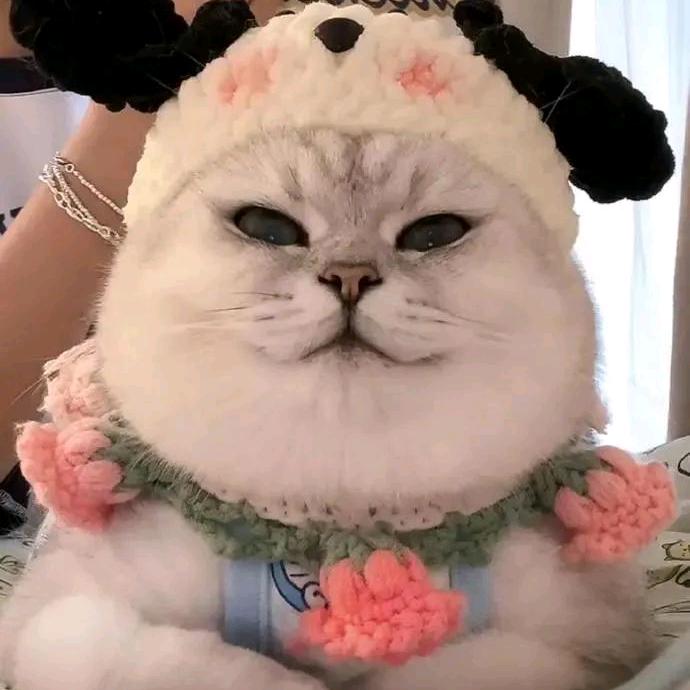 🩴青云的七⁰⁴⁷