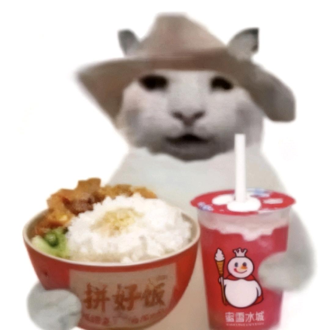 呆すき