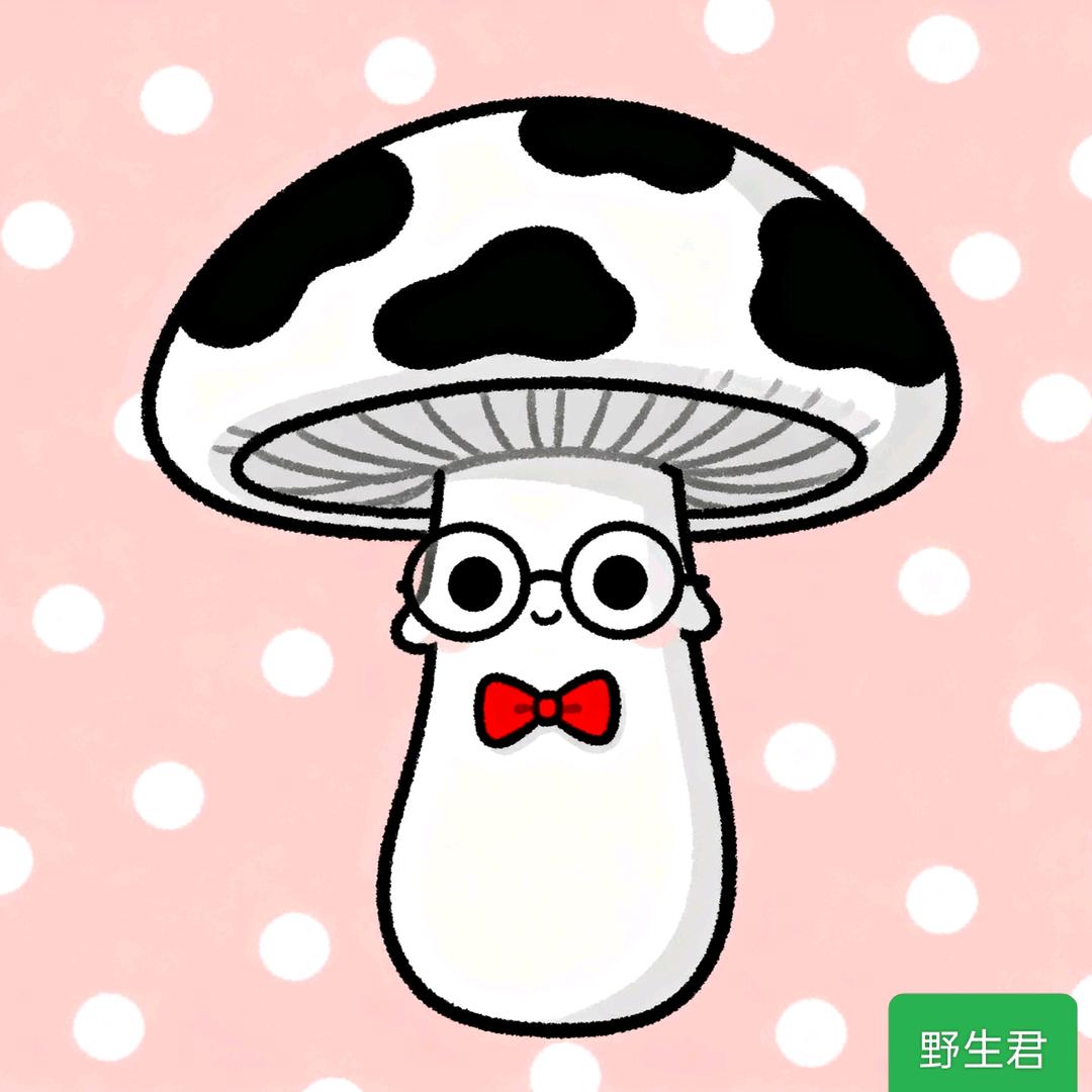 野生君
