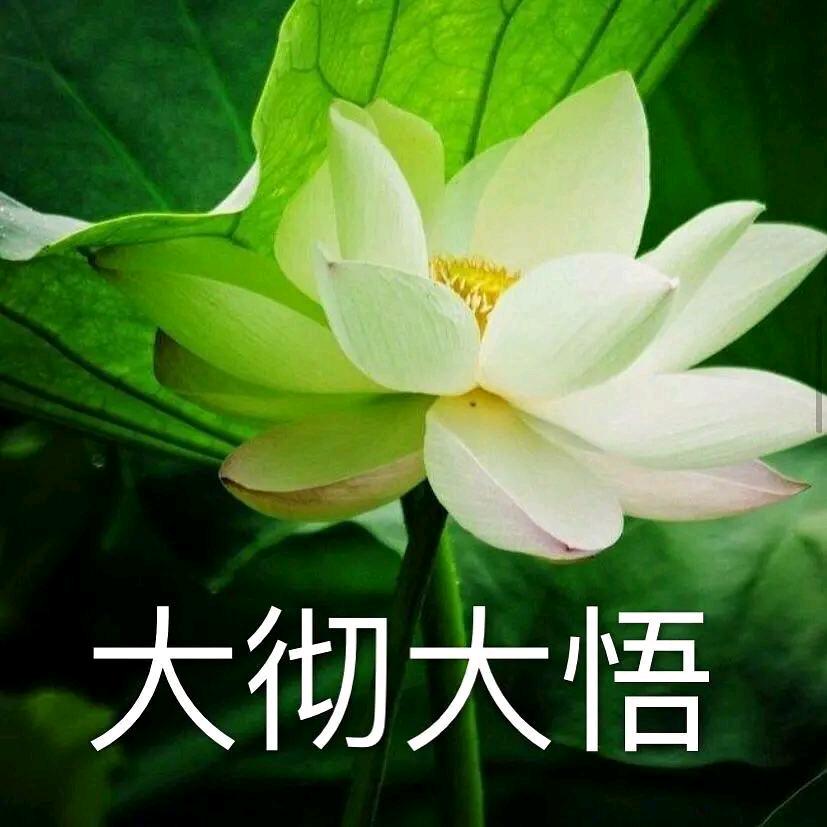 愤青，。。。。