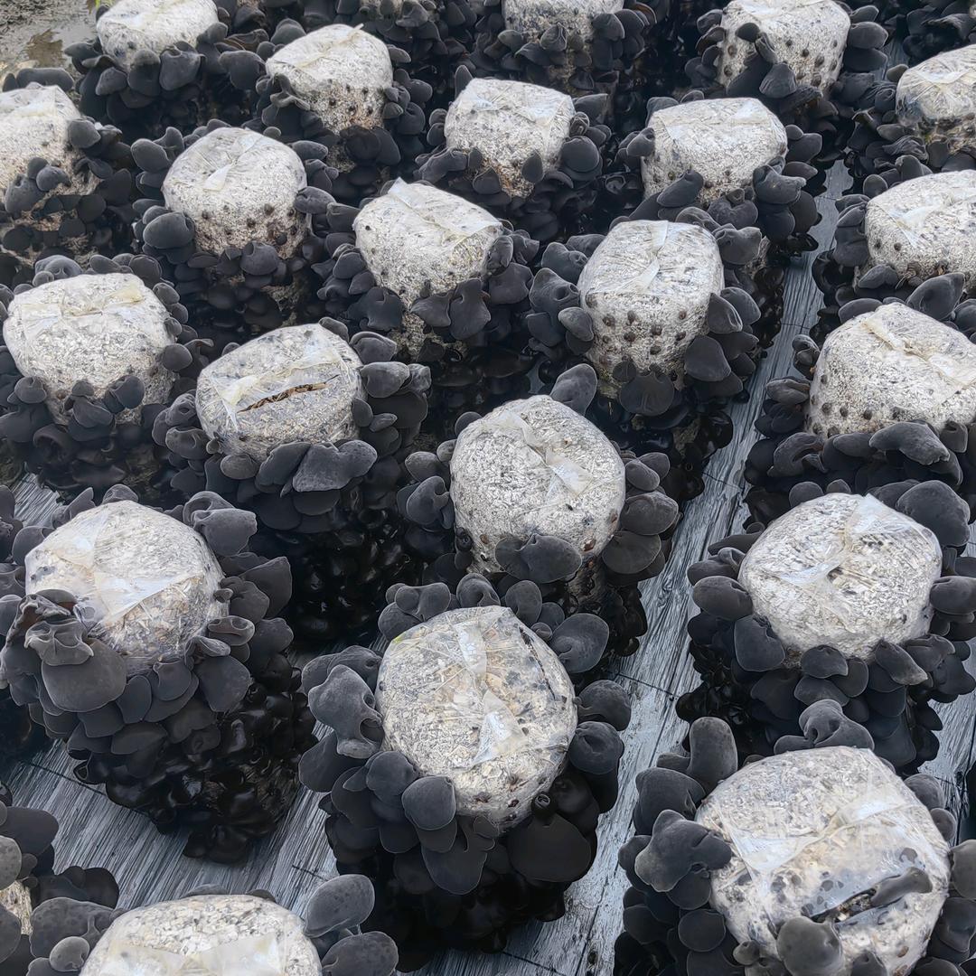 绿多宝农品臻选阁