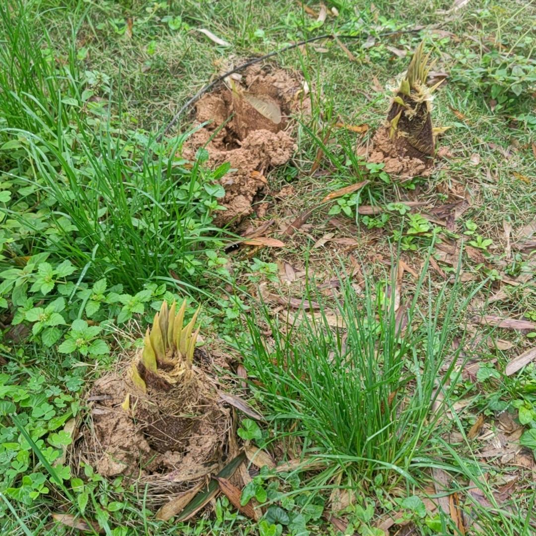 请开始你的表演