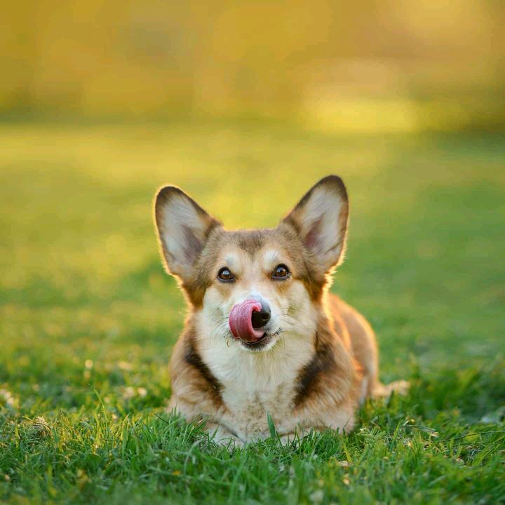 乐选思瑜伽健身好物