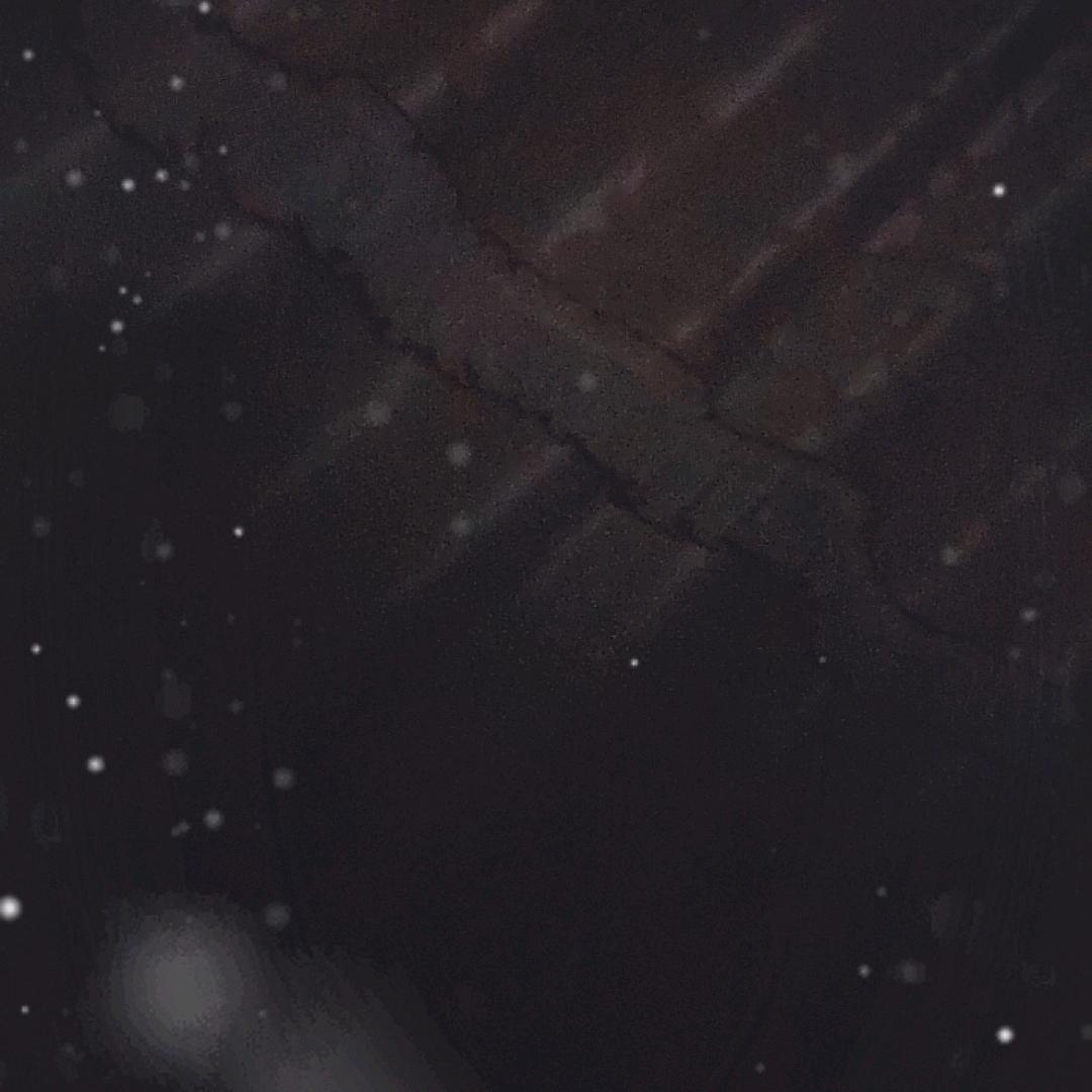 真爱一生