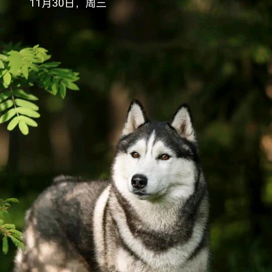 神圣
