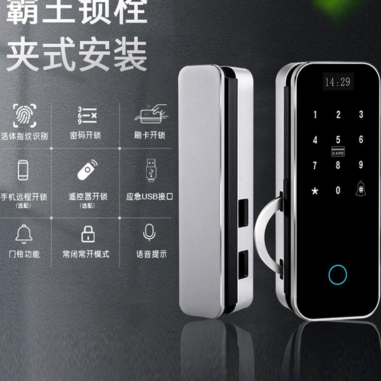 专业智能锁