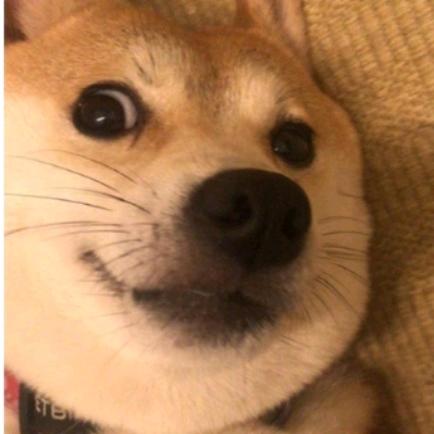 落花