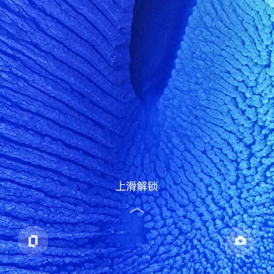 虎哥