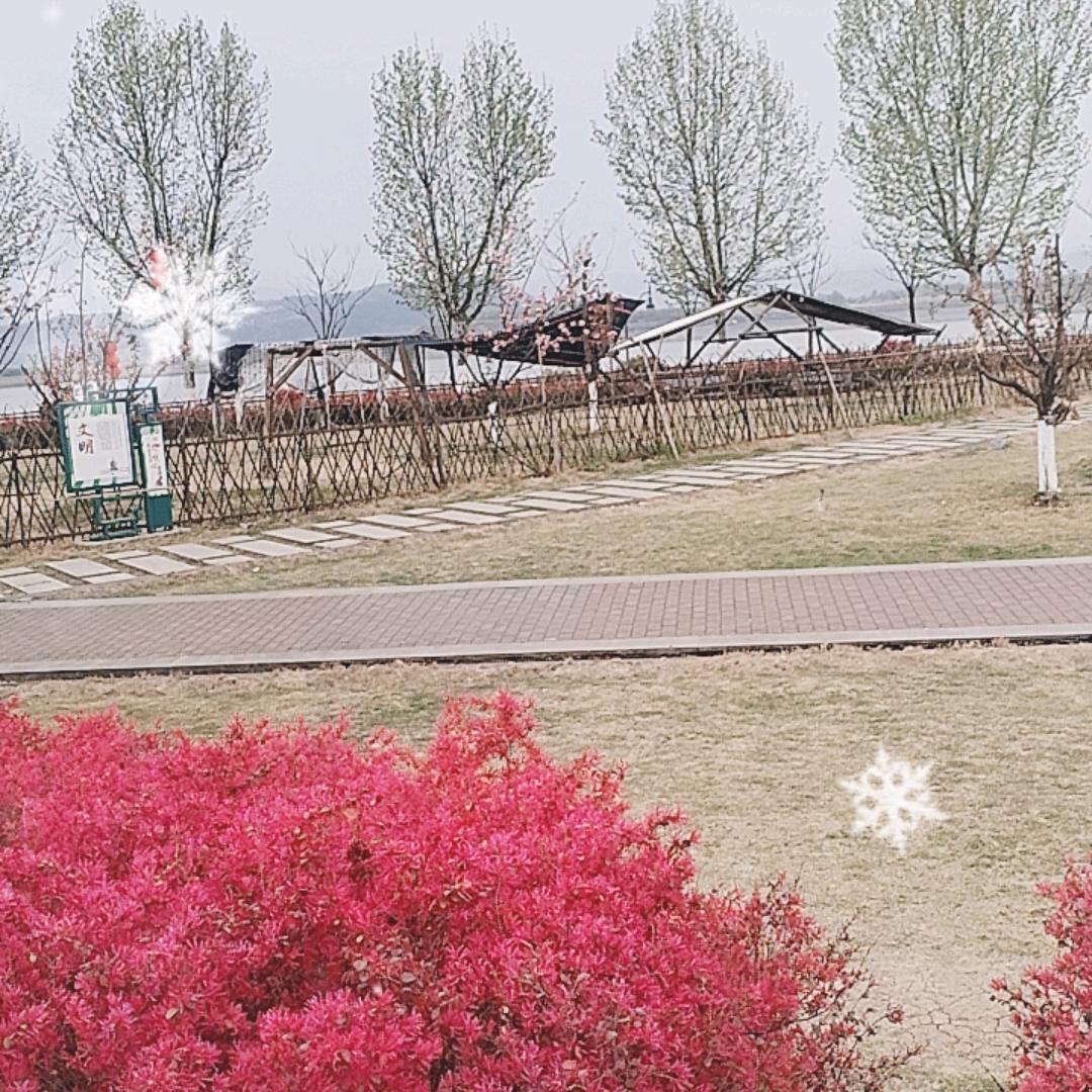 游侠