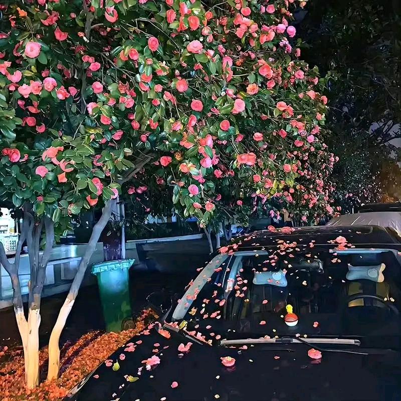 泸县博学托辅中心