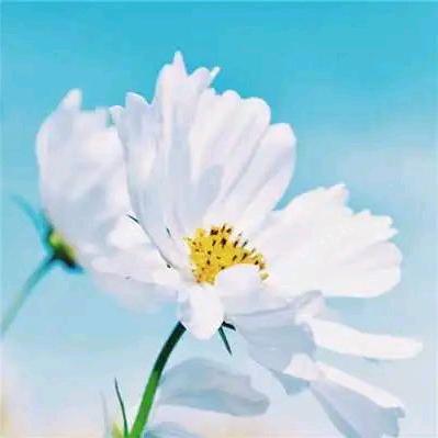 用户7120433377989柏贵平