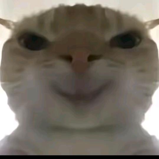 初七(三角洲行动)