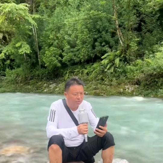 激琴飞杨