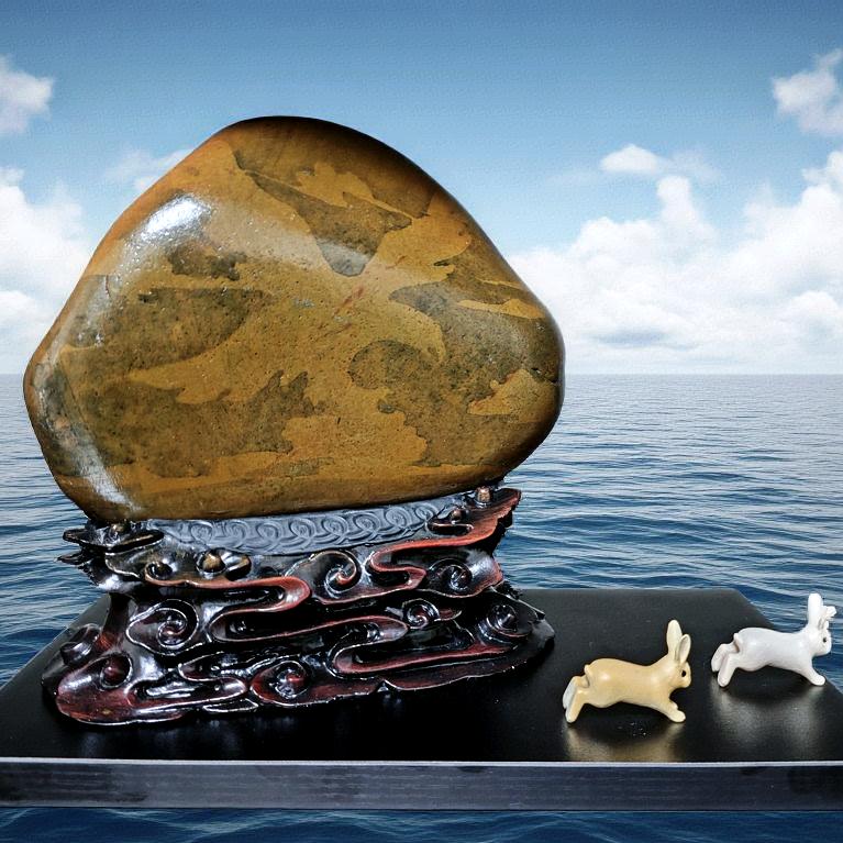 石趣天成