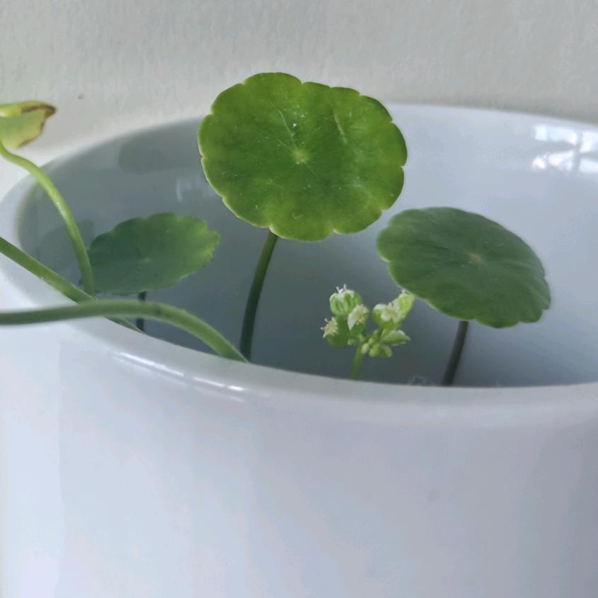 你好！陌生人！