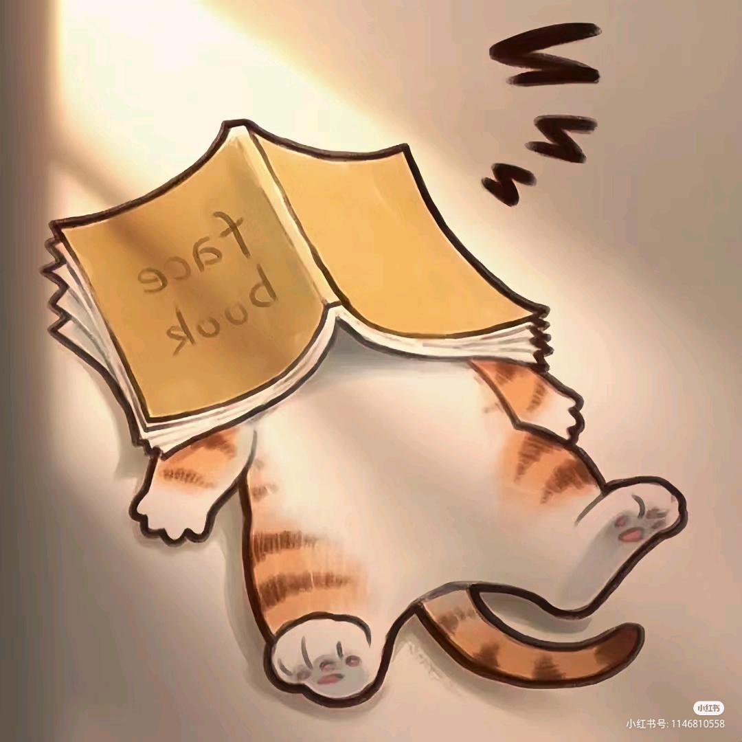 衬