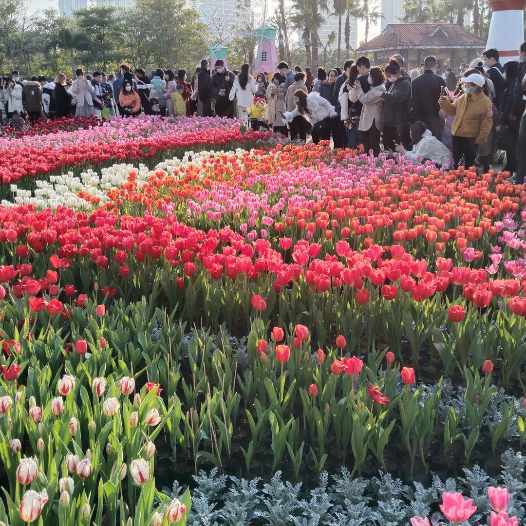 开心永远