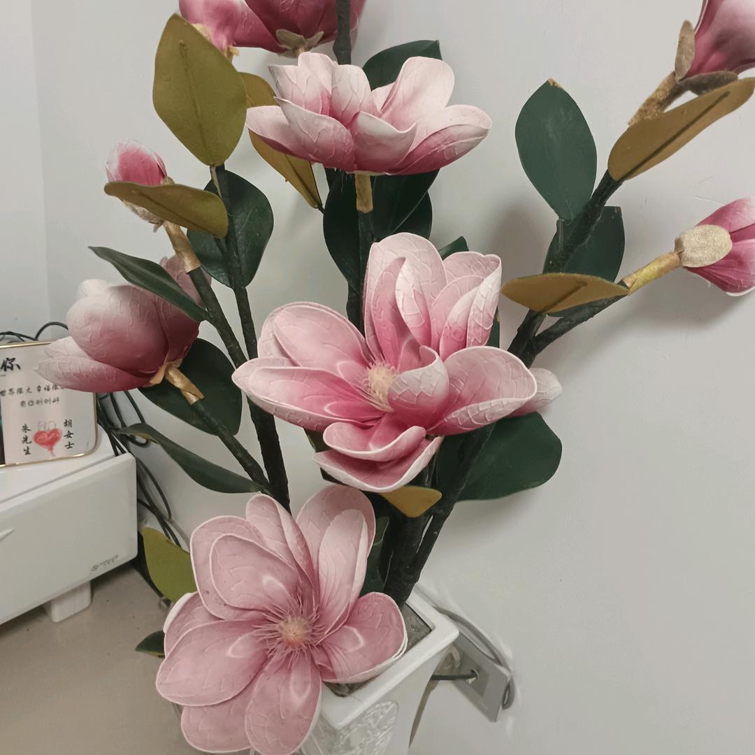 丽.