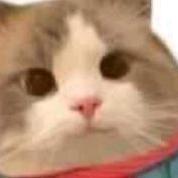 偷天换日的自闭山大王