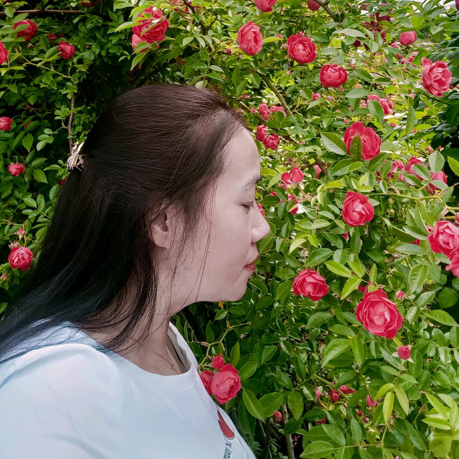 💞智商也欠费✨💞