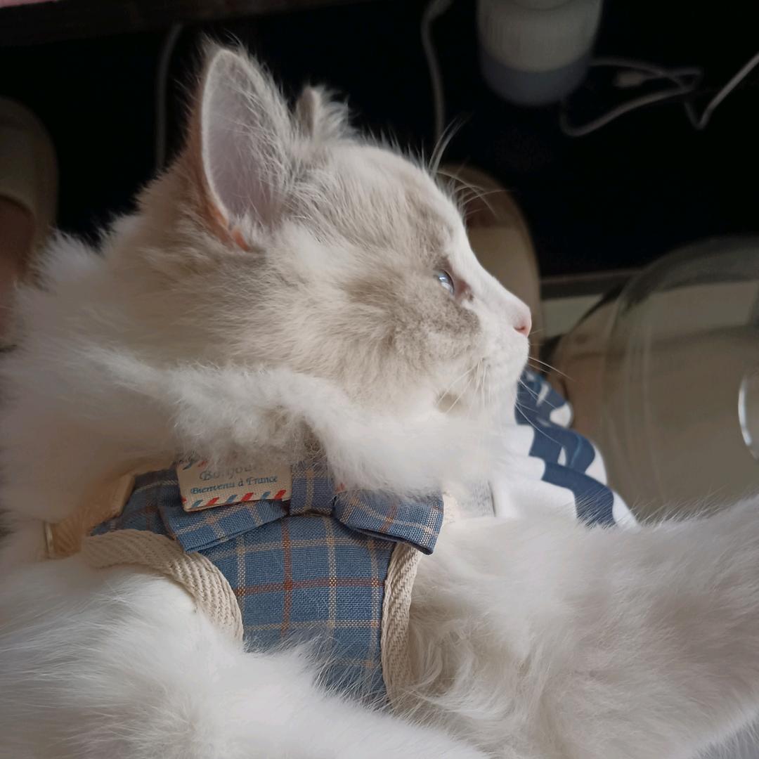 MJ可稀罕的宝宝