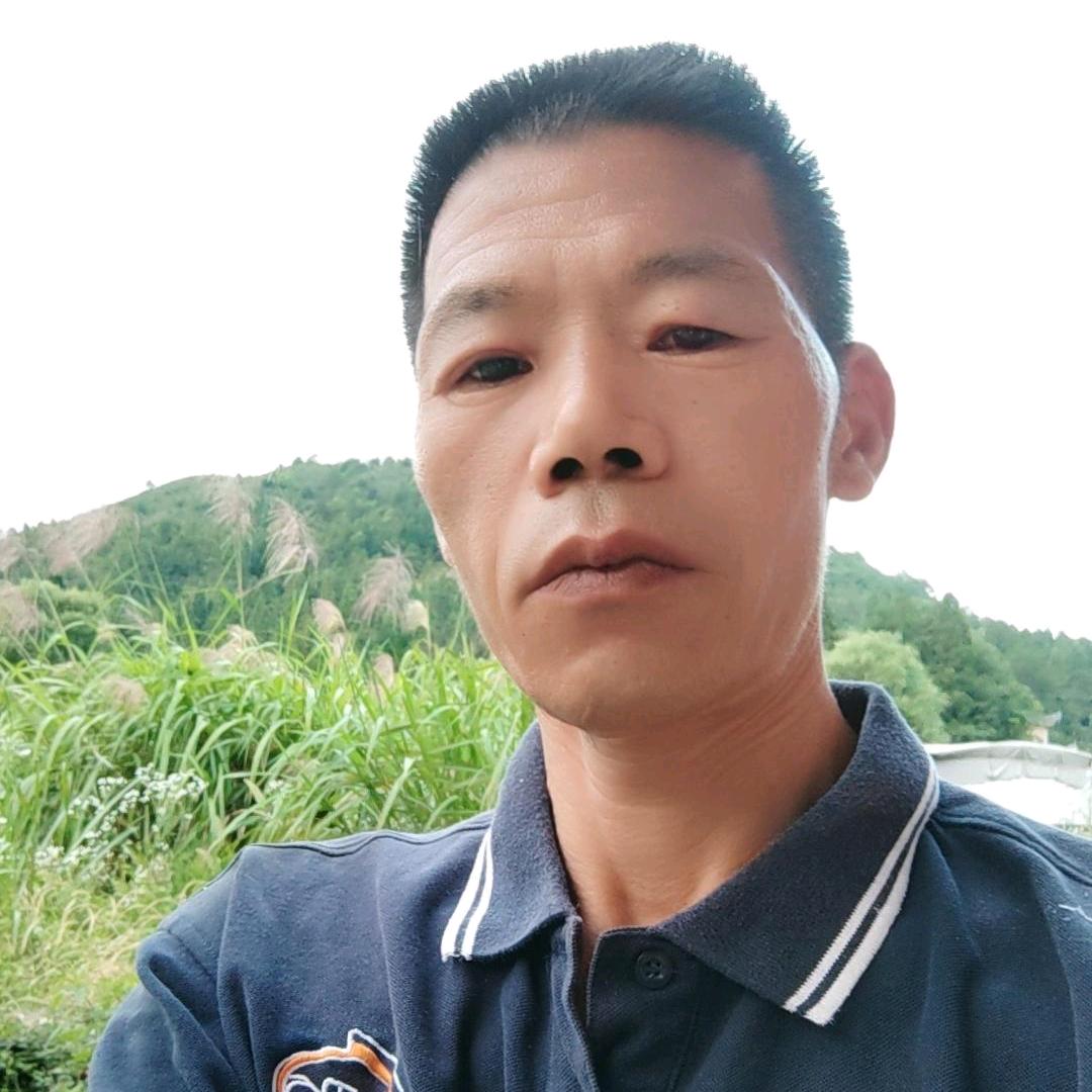 茶哥生态园