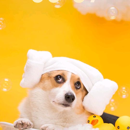 🧚‍♂️星期八🧚‍♂️