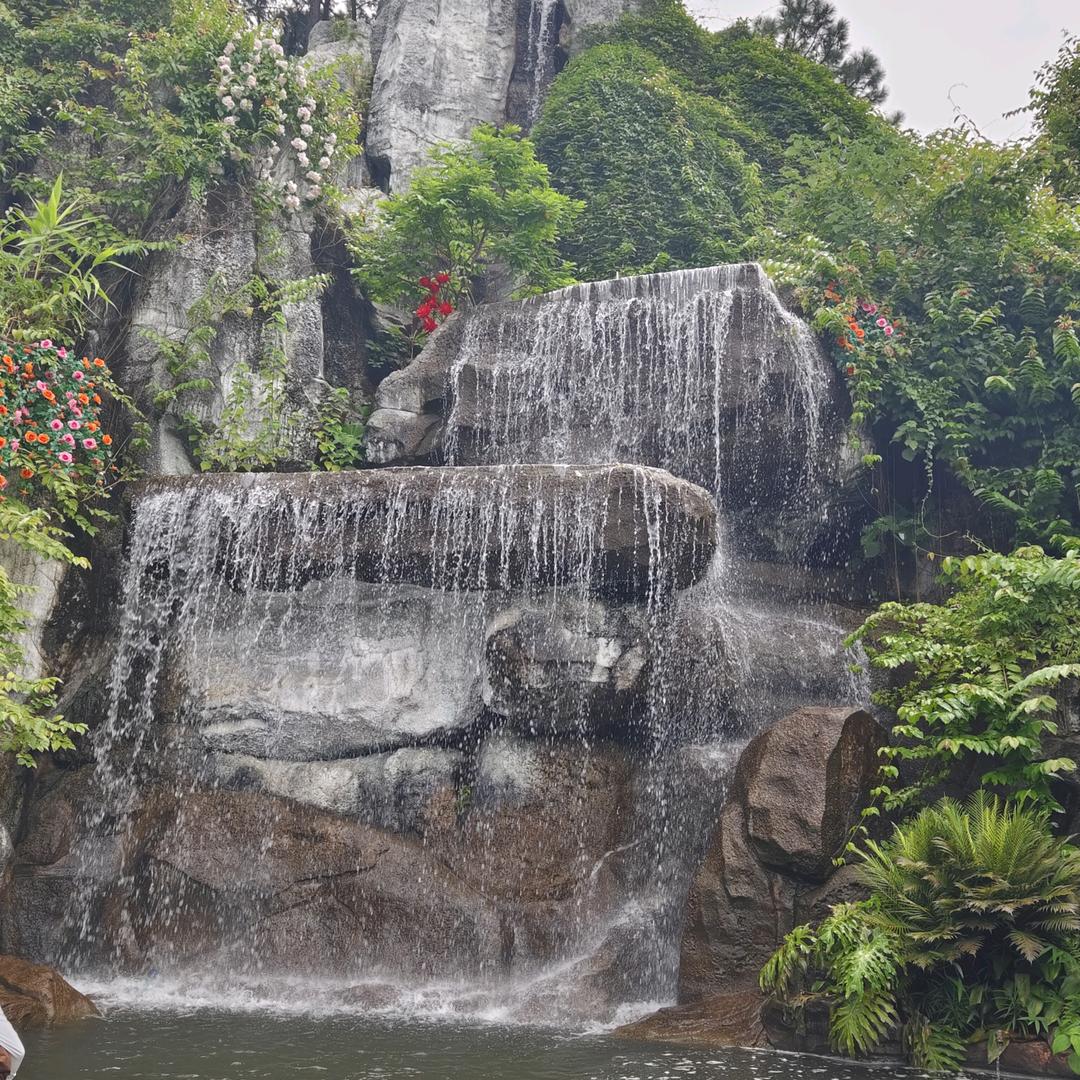 阳光总在风雨后🌹🌹🌹