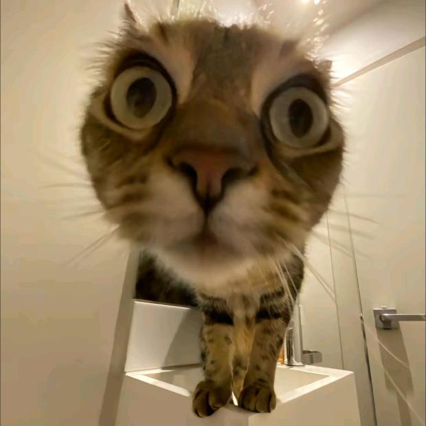 再瞎叭叭就对你阿瓦达啃大瓜