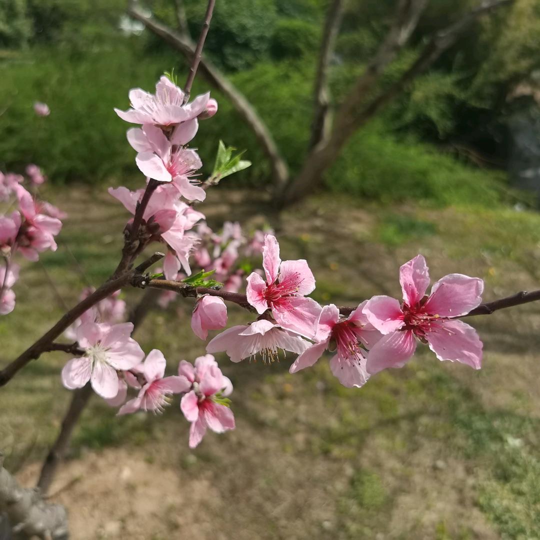 耀祖