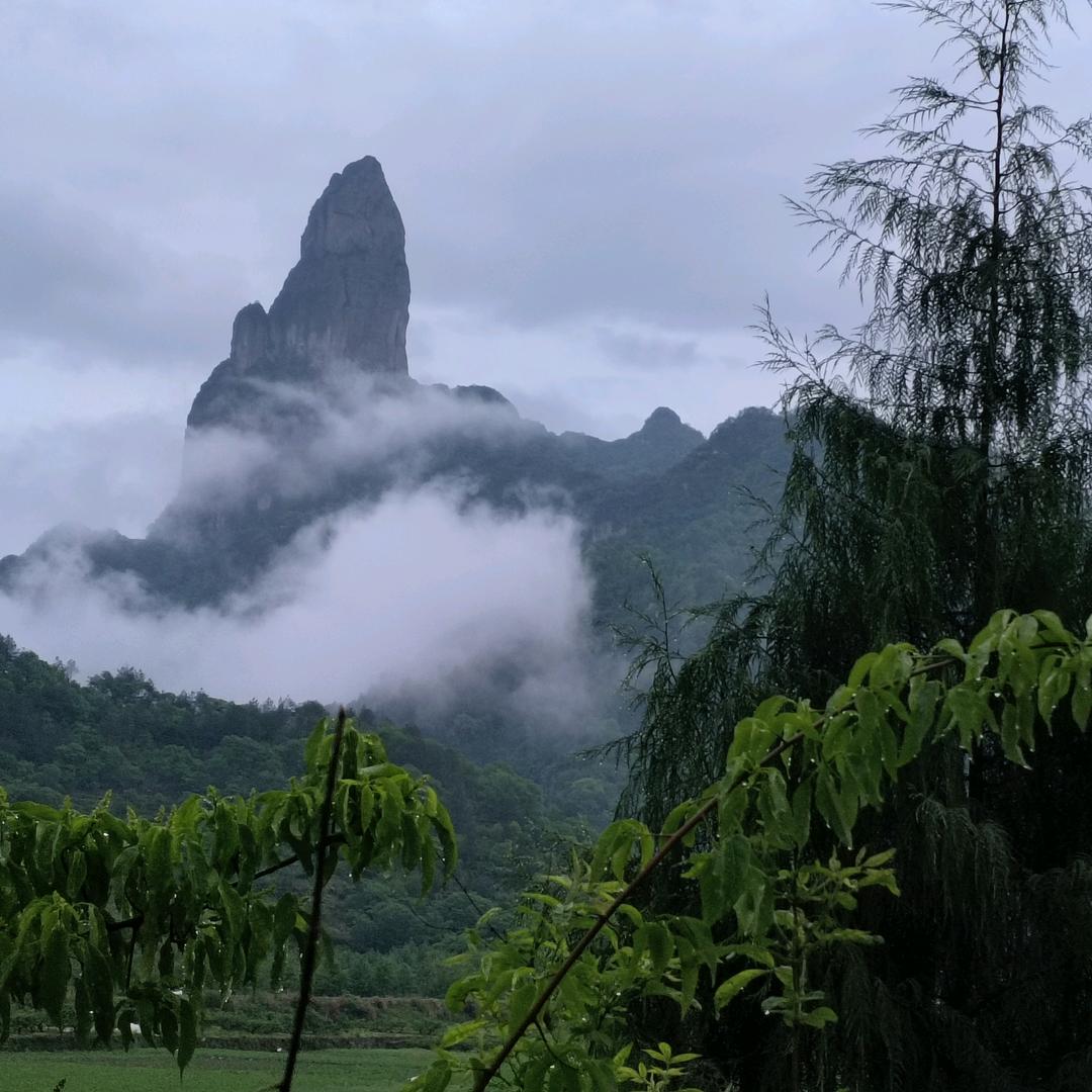 淡竹风景