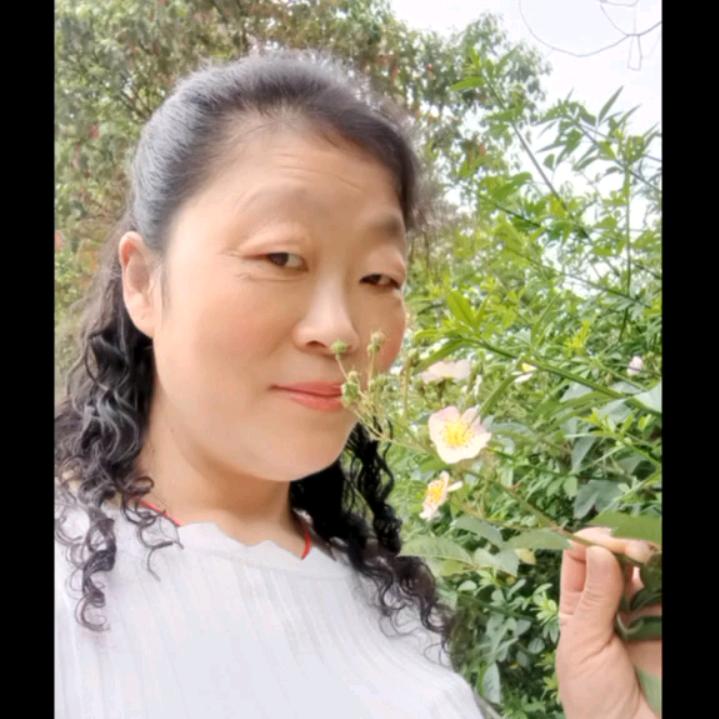 龙姐