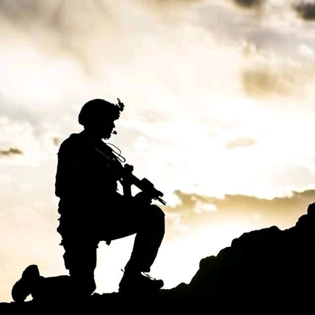 弹壳电竞（接单）