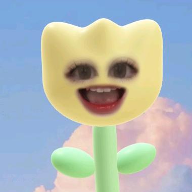 小黄花🌼