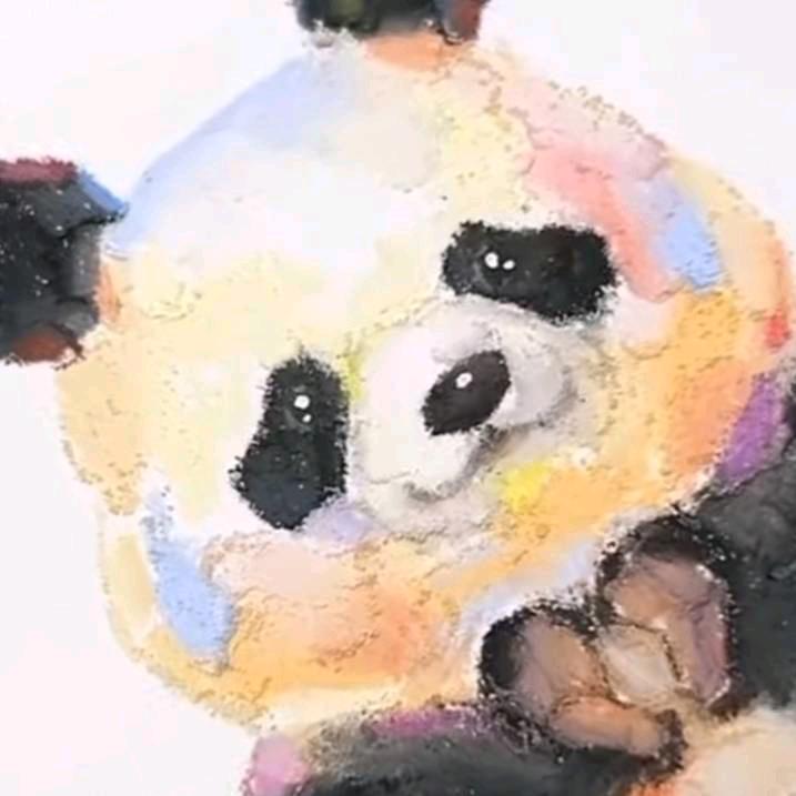 ZOLLY•崇