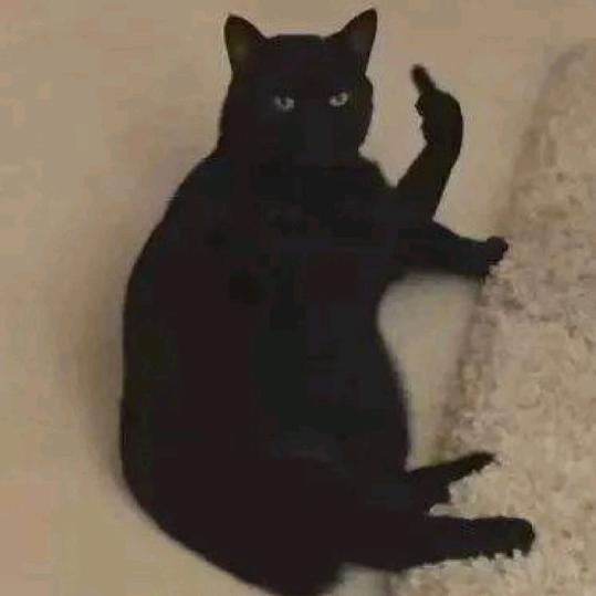 发疯的萨摩耶大人