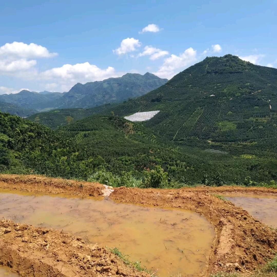 。◕‿玲‿◕。