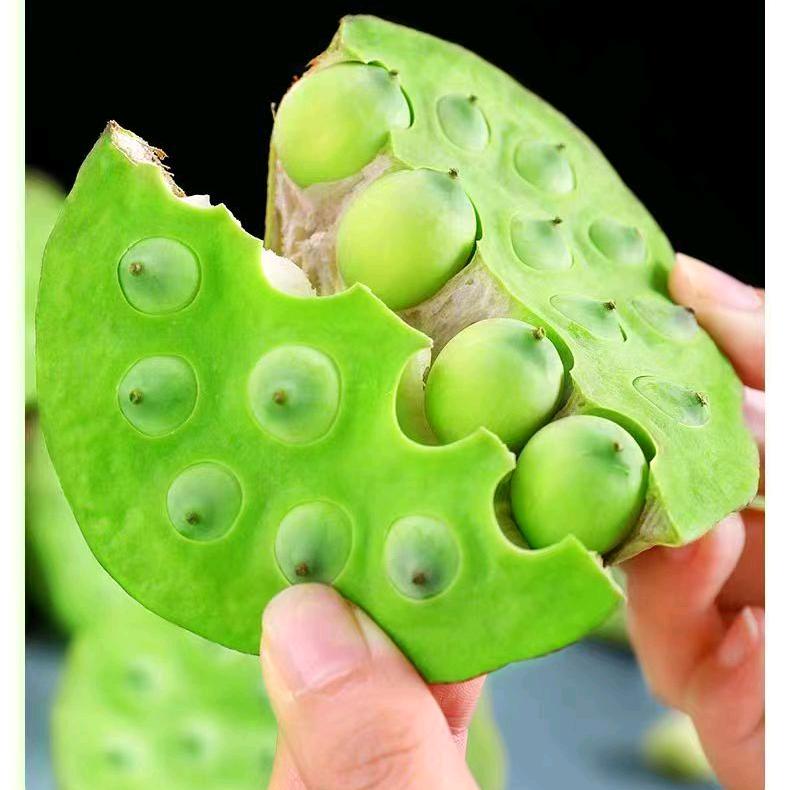 小祁同学