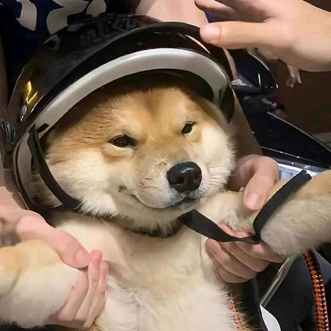 胡萝卜🥕炸鸡（三角洲行动）