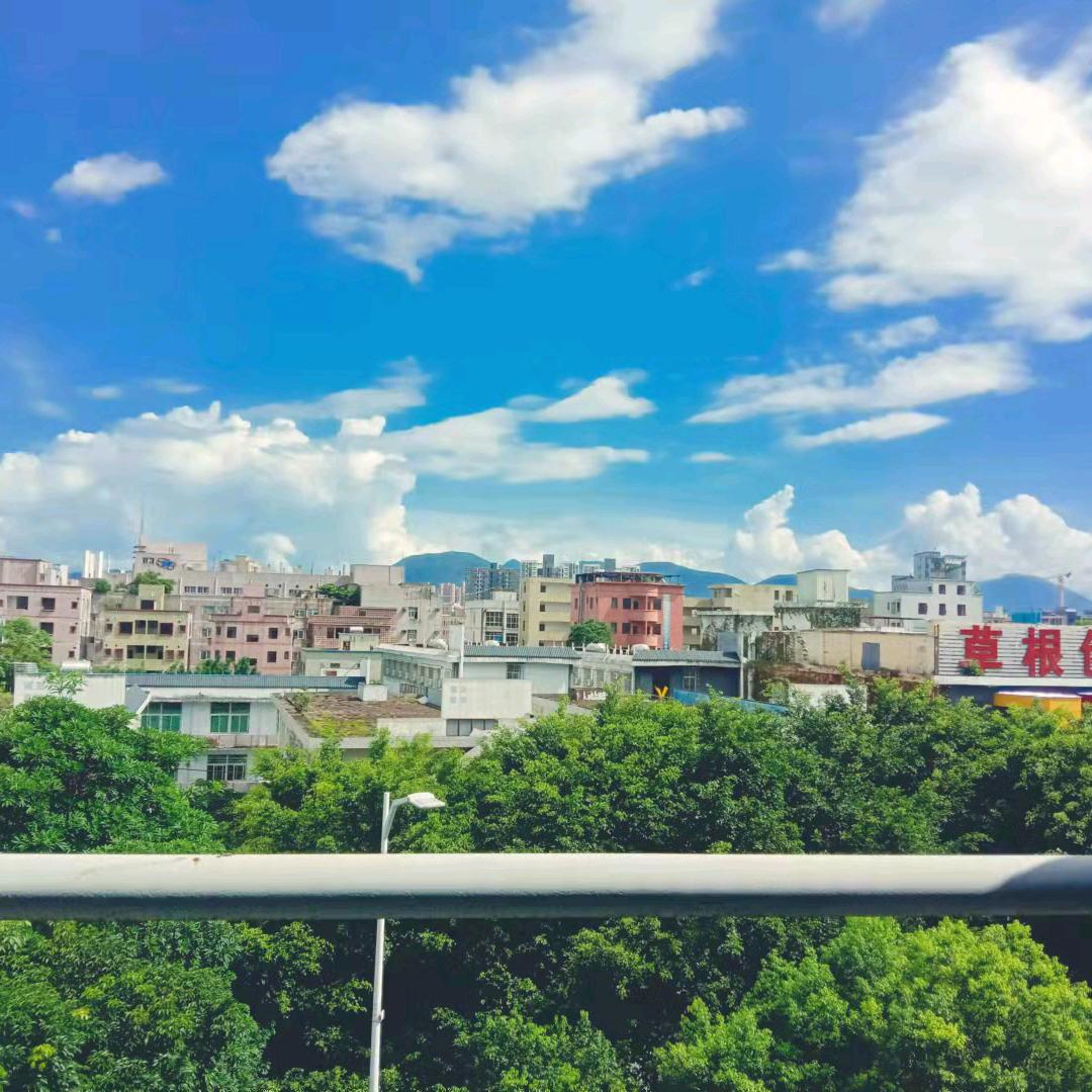 夕阳  ※   独美