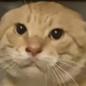 Nikys