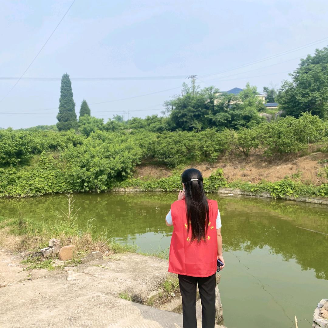 🍀静待花开