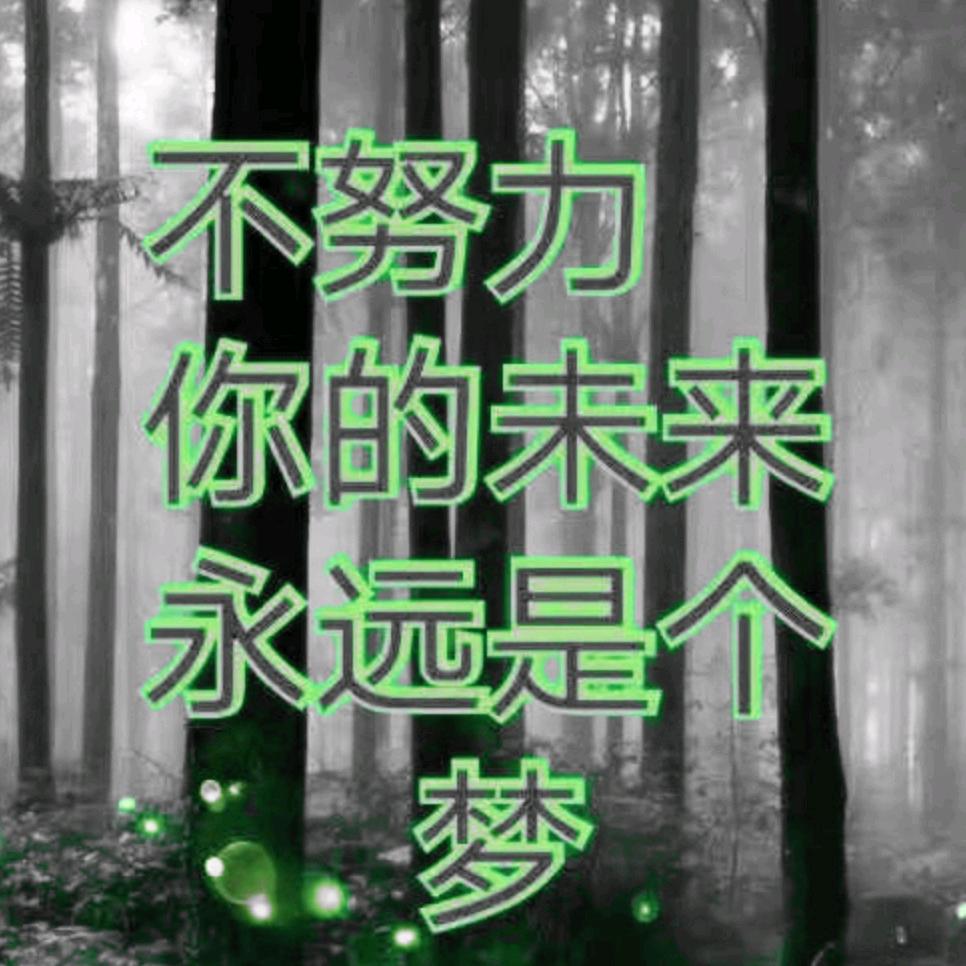 ✨阿鹏✨