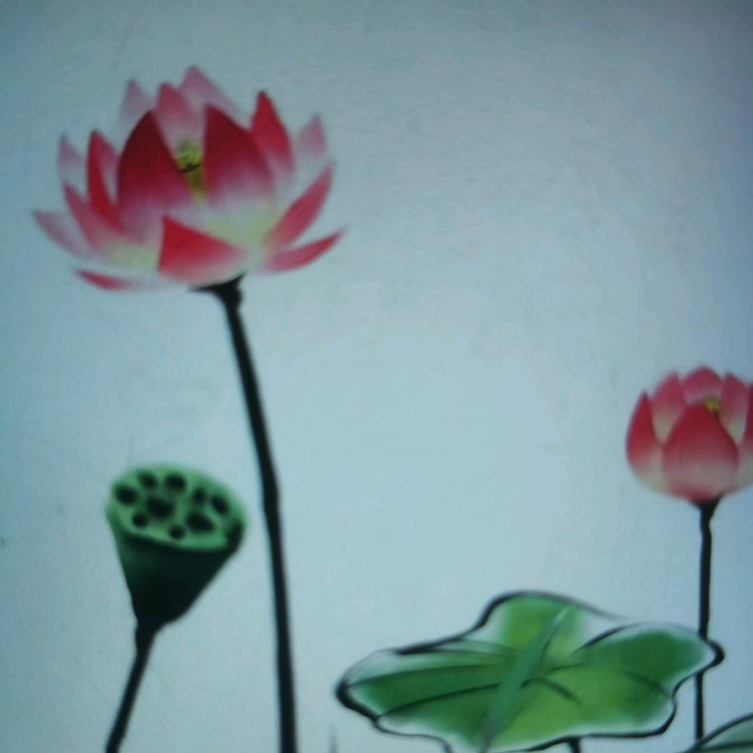 清风杏林