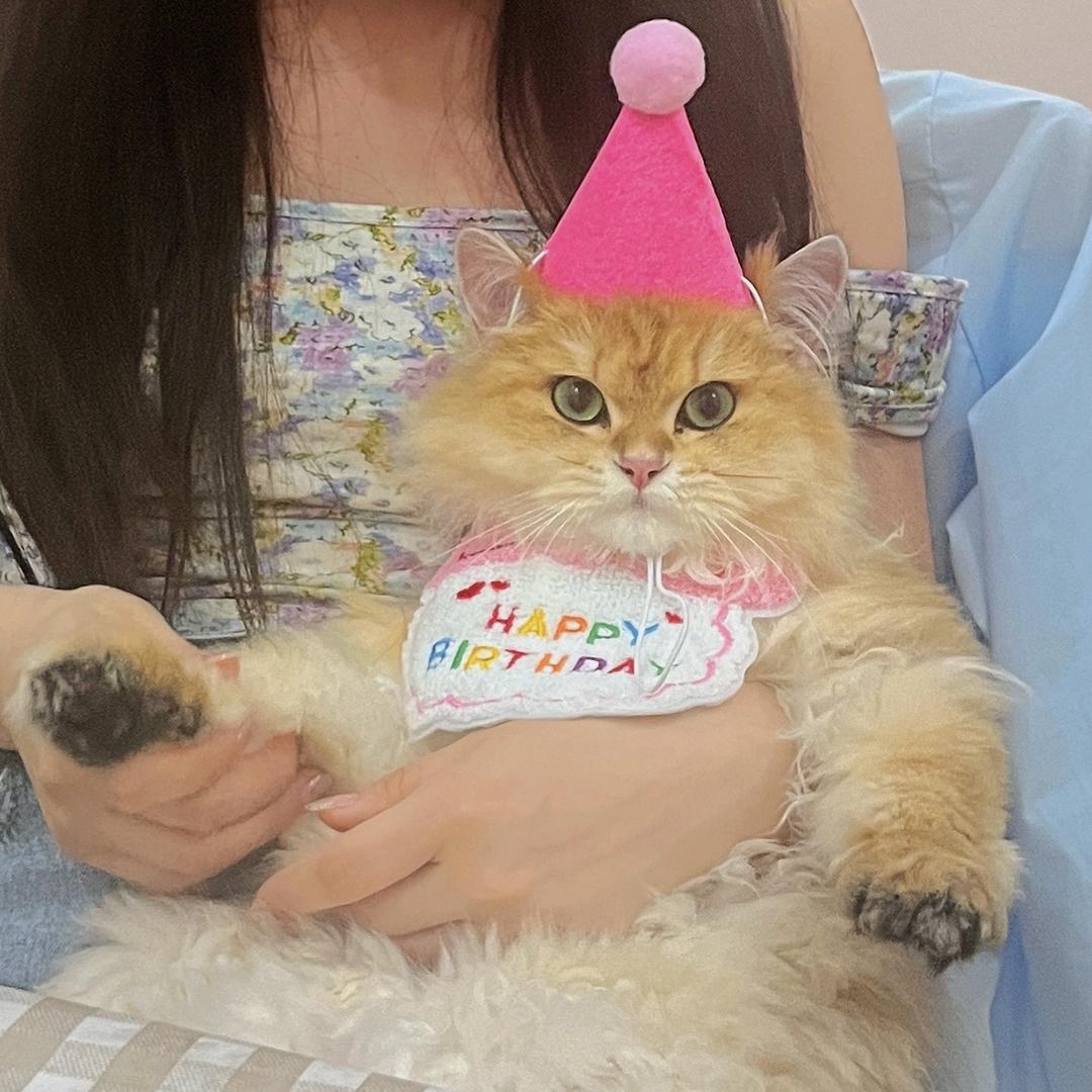 刘光希是我