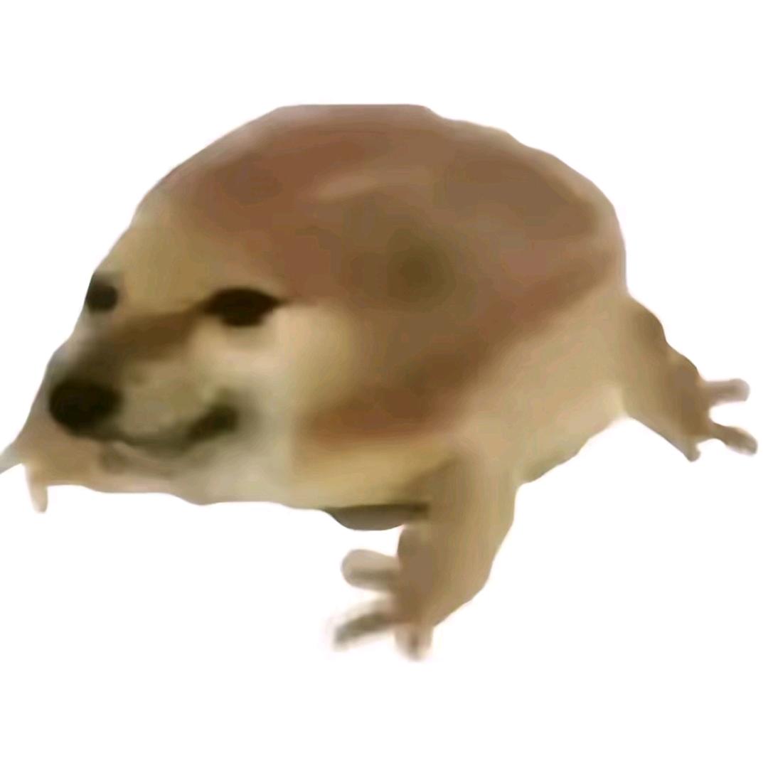 AAA全国专业套狗