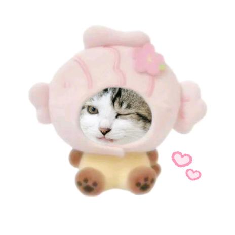 栗子猫