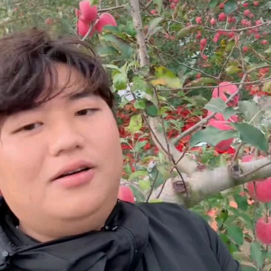 全进华优选
